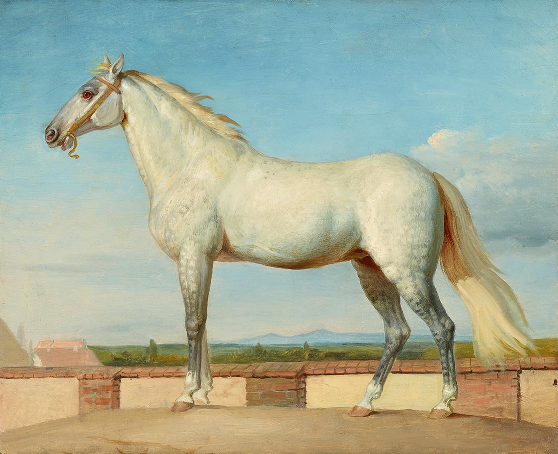 Johann Peter Krafft, Schimmel vor einer niederen Mauer, 1840/1850, Öl auf Leinwand auf Karton, …