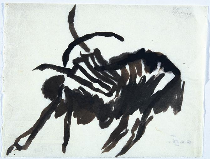Gustav Hessing, Ziege, 1956, Wasserfarbe auf Papier, 21 x 28,5 cm, Belvedere, Wien, Inv.-Nr. 88…