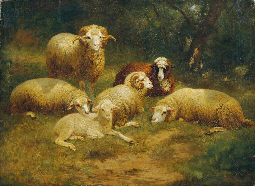 Johann Baptist Hofner, Schafe, undatiert, Öl auf Leinwand, 66 x 90 cm, Belvedere, Wien, Inv.-Nr…