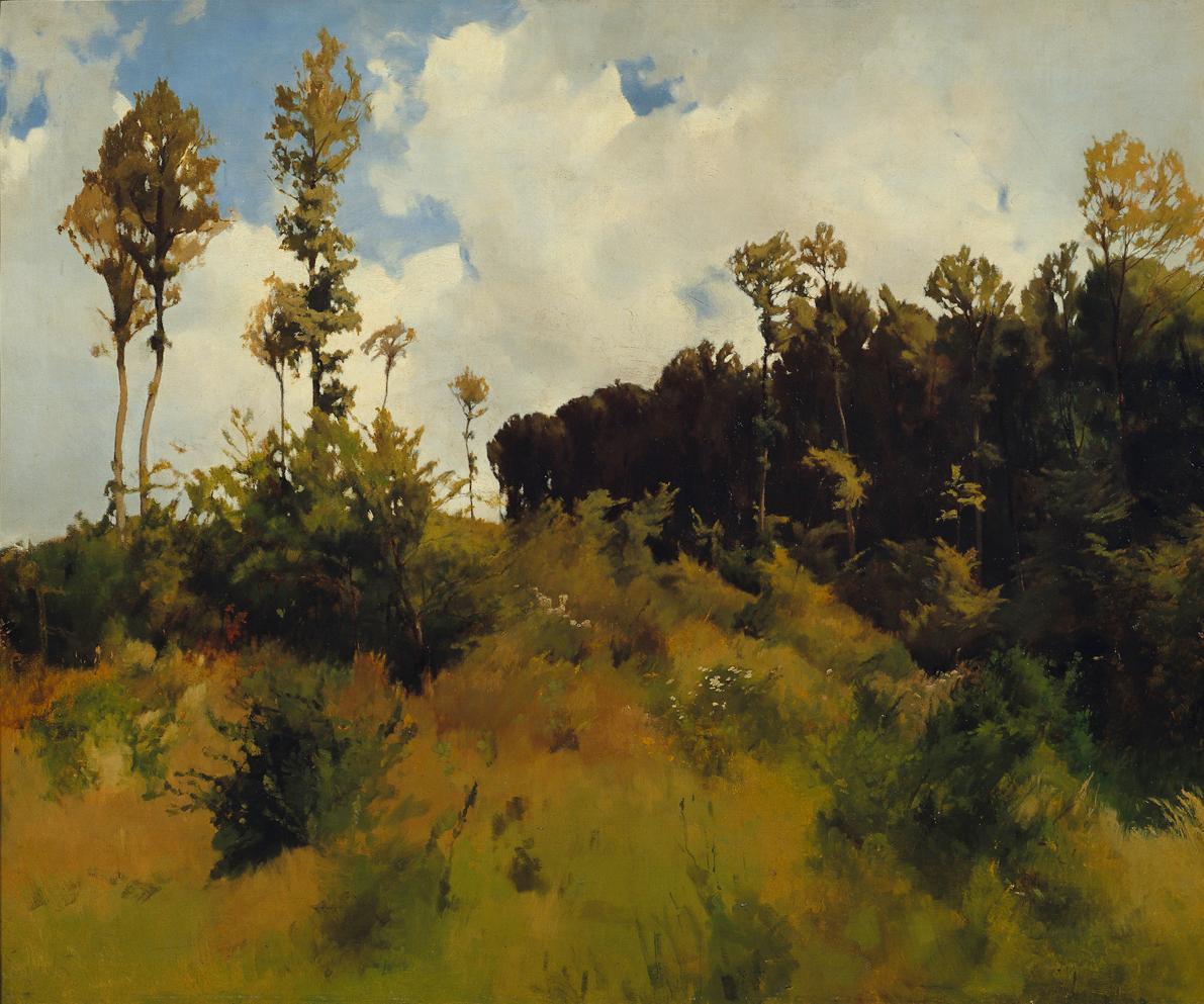 Carl Schuch, Waldlichtung bei Purkersdorf, 1872, Öl auf Leinwand, 83 x 102 cm, Belvedere, Wien,…