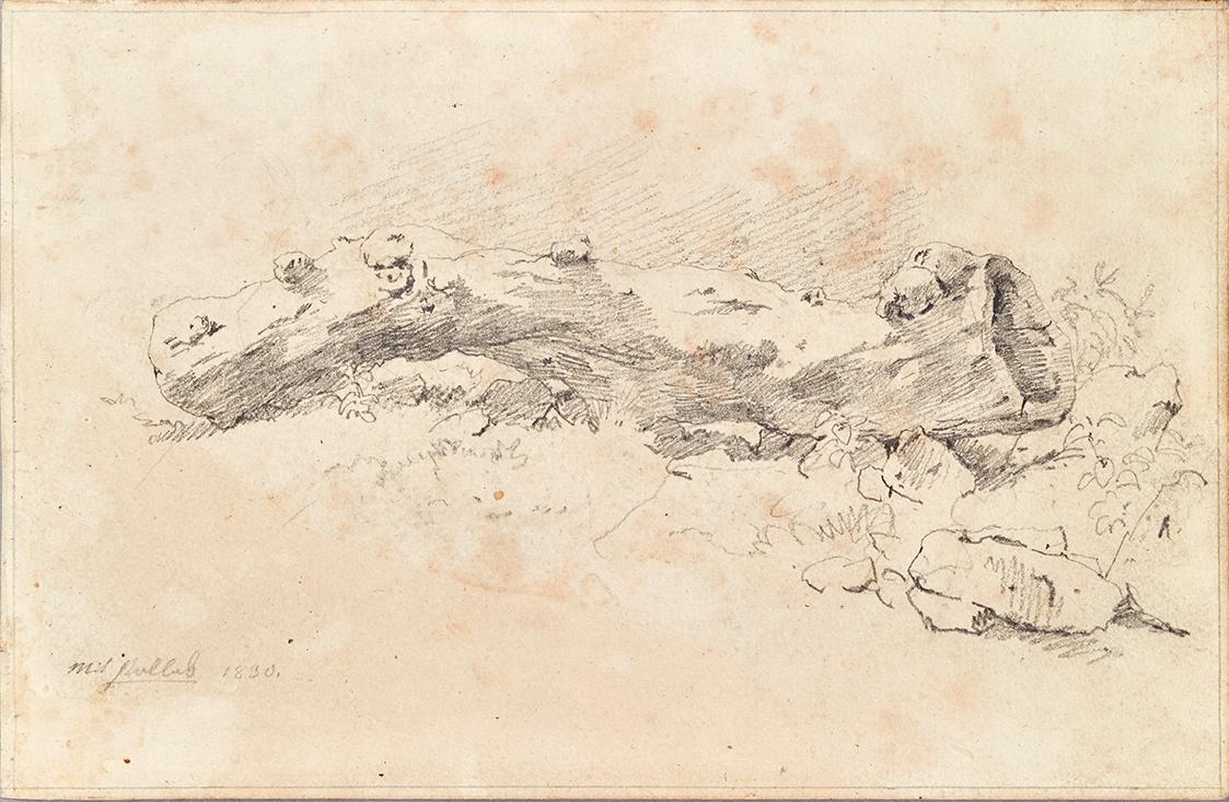 Friedrich August Mathias Gauermann, Liegender hohler Baumstamm, 1830, Bleistift auf Papier, 11,…