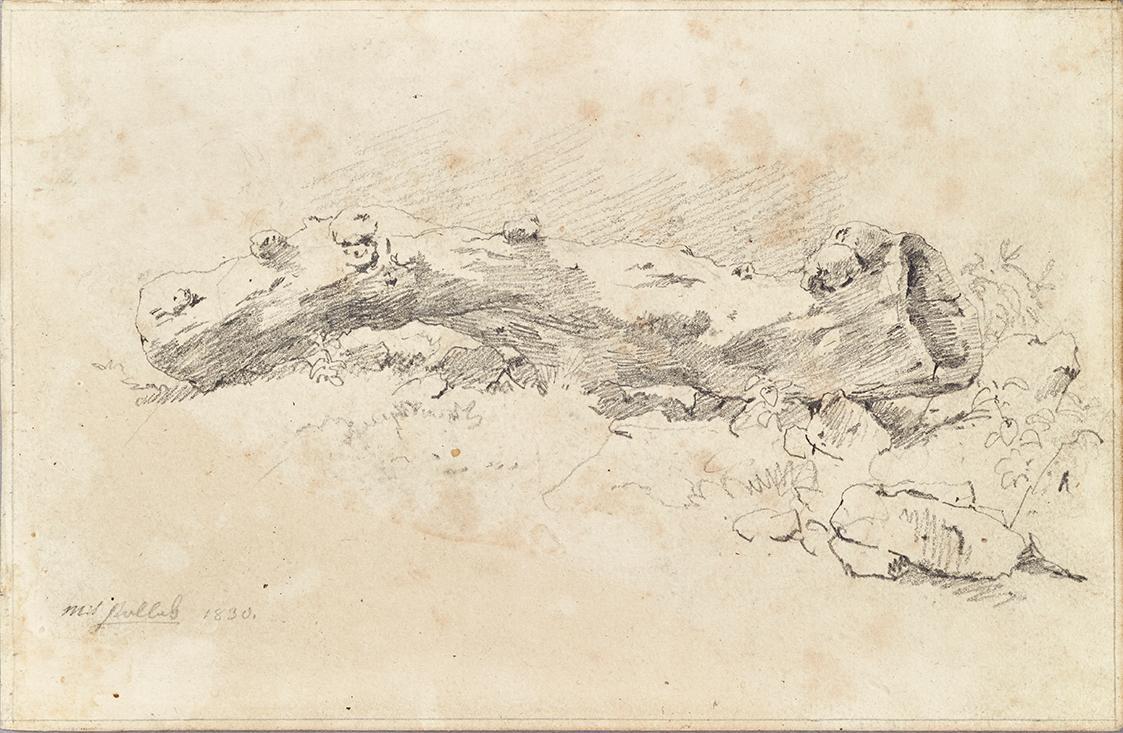 Friedrich August Mathias Gauermann, Liegender hohler Baumstamm, 1830, Bleistift auf Papier, 11,…
