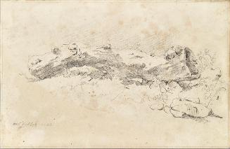 Friedrich August Mathias Gauermann, Liegender hohler Baumstamm, 1830, Bleistift auf Papier, 11,…