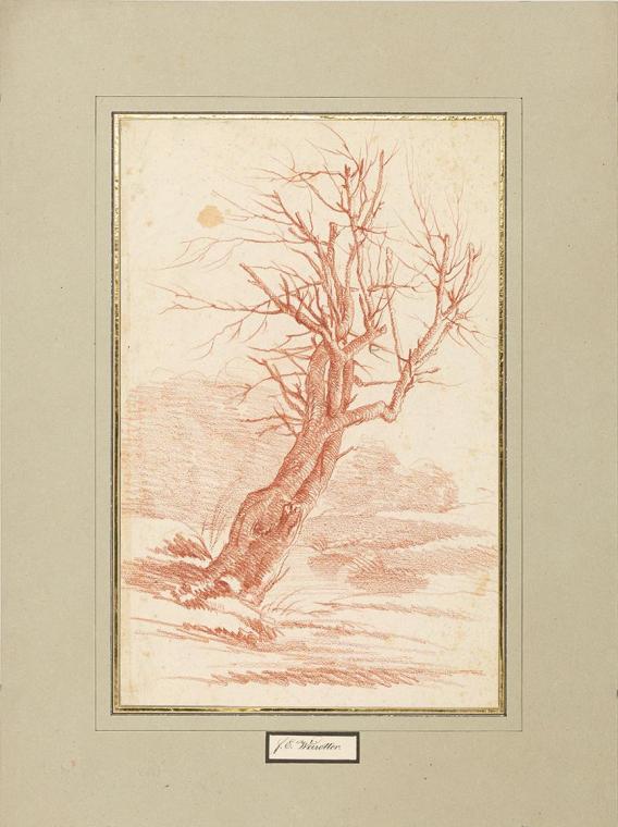 Franz Edmund Weirotter, Baumstudie, undatiert, Rötel auf Papier, 30,5 × 20 cm, Belvedere, Wien,…