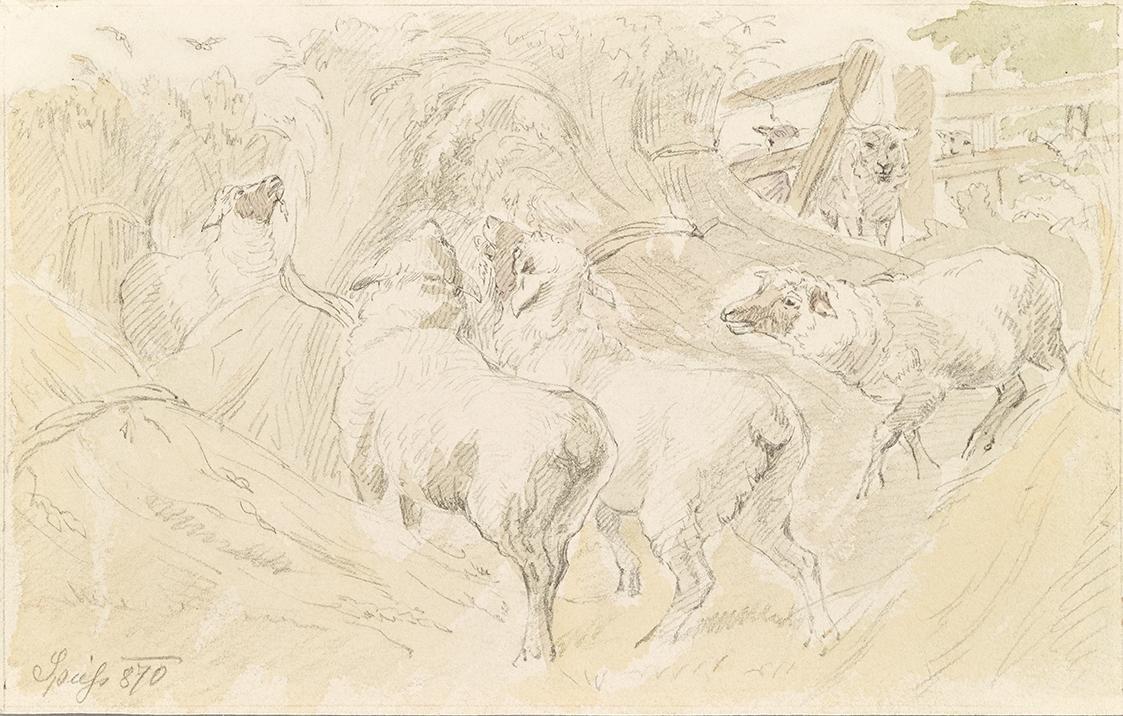 August Spiess, Schafe im Getreide, 1870, Bleistift, Aquarell auf Papier, 15,2 × 24 cm, Belveder ...