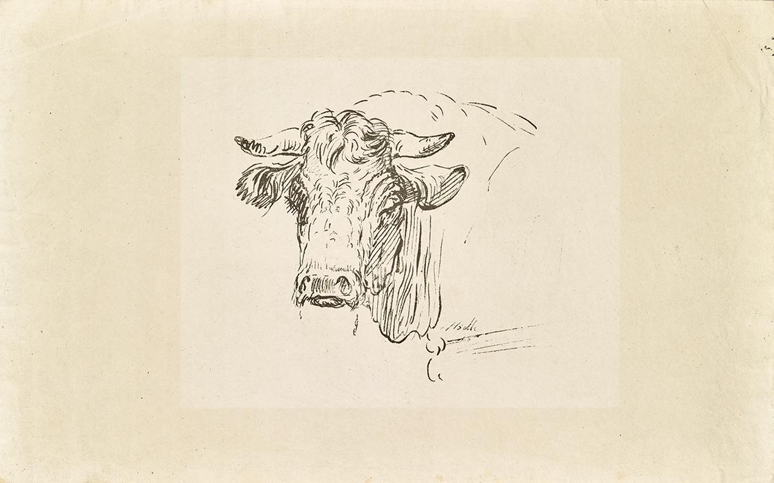 Johann Josef Schindler, Stierkopf, undatiert, Tusche auf Papier, 21,8 × 35 cm, Schenkung Sammlu…