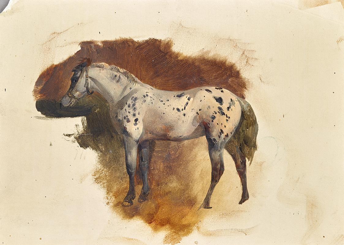 Friedrich August Mathias Gauermann, Gefleckter Schimmel, undatiert, Öl auf Papier, 18,7 × 26,3 …