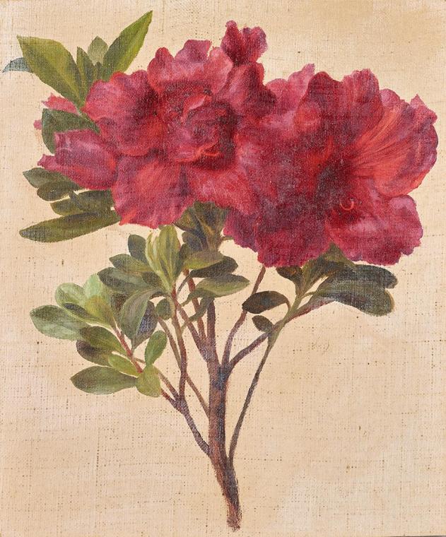 Anton Hartinger, Rhododendron, um 1880, Öl auf Leinwand, 21 × 17,8 cm, Belvedere, Wien, Inv.-Nr…