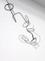 Constantin Luser, Die Landung D.1.2, 2015, Draht, 460 × 80 × 130 cm, 3,4 kg, Belvedere, Wien, I…